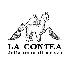 La Contea della Terra di Mezzo